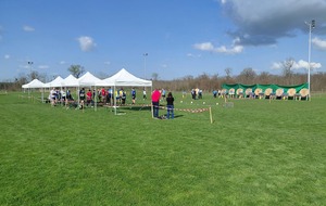 RUN ARCHERY DE VINEUIL