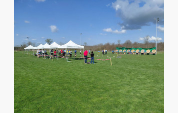 RUN ARCHERY DE VINEUIL